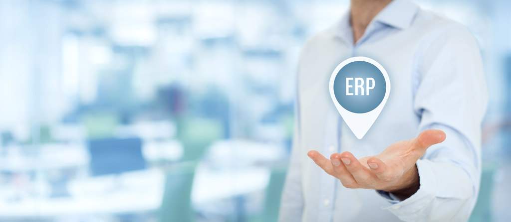 Erp para despachos contables